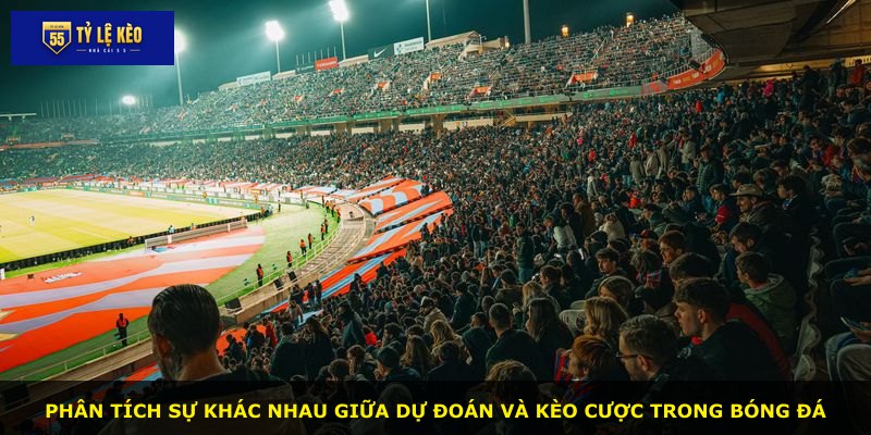 Phân tích sự khác nhau giữa dự đoán và kèo cược trong bóng đá