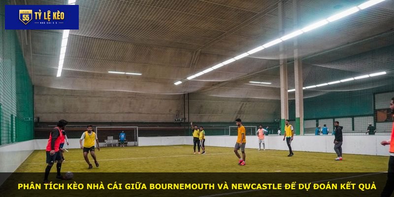 Phân tích kèo nhà cái giữa Bournemouth và Newcastle để dự đoán kết quả