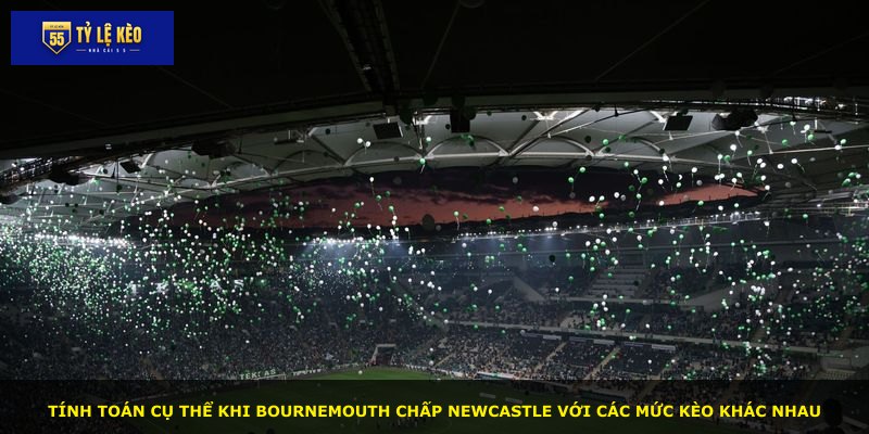 Tính toán cụ thể khi Bournemouth chấp Newcastle với các mức kèo khác nhau