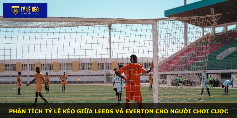 Phân tích tỷ lệ kèo giữa Leeds và Everton cho người chơi cược