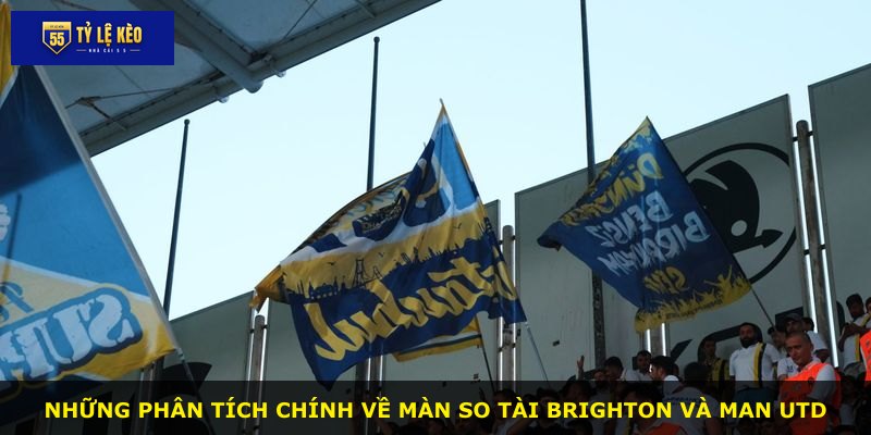 Những phân tích chính về màn so tài Brighton và Man Utd