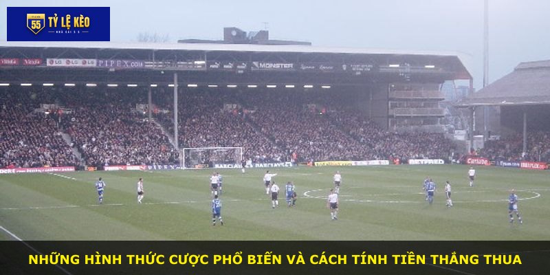 Những hình thức cược phổ biến và cách tính tiền thắng thua