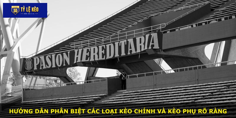 Hướng dẫn phân biệt các loại kèo chính và kèo phụ rõ ràng