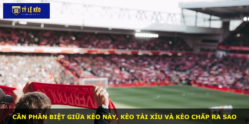 Cần phân biệt giữa kèo này, kèo tài xỉu và kèo chấp ra sao