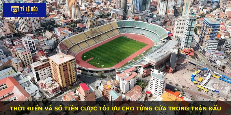 Thời điểm và số tiền cược tối ưu cho từng cửa trong trận đấu