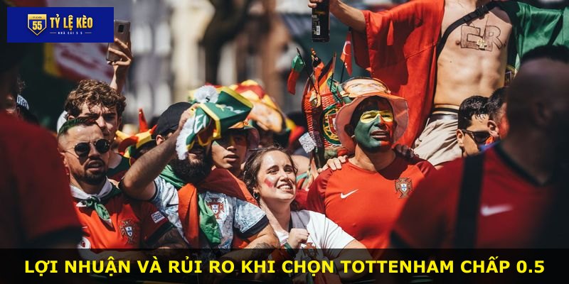 Lợi nhuận và rủi ro khi chọn Tottenham chấp 0.5