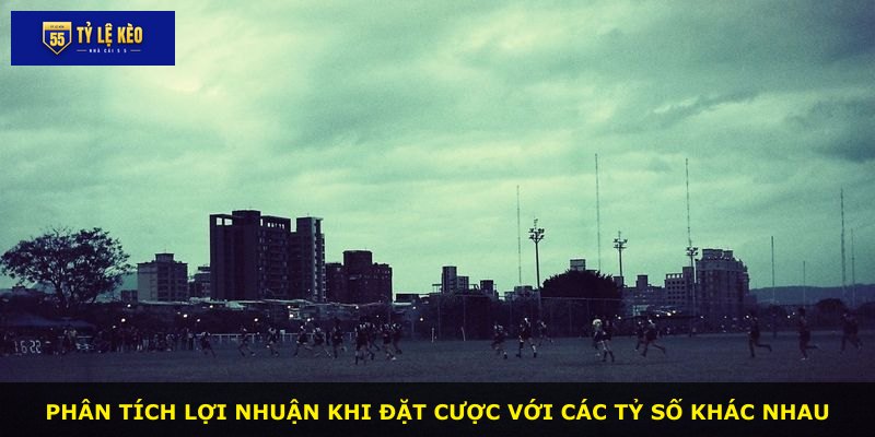 Phân tích lợi nhuận khi đặt cược với các tỷ số khác nhau