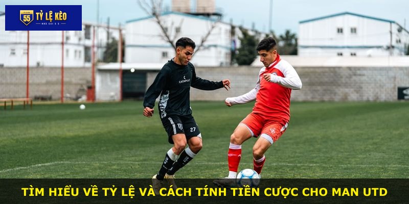 Tìm hiểu về tỷ lệ và cách tính tiền cược cho Man Utd