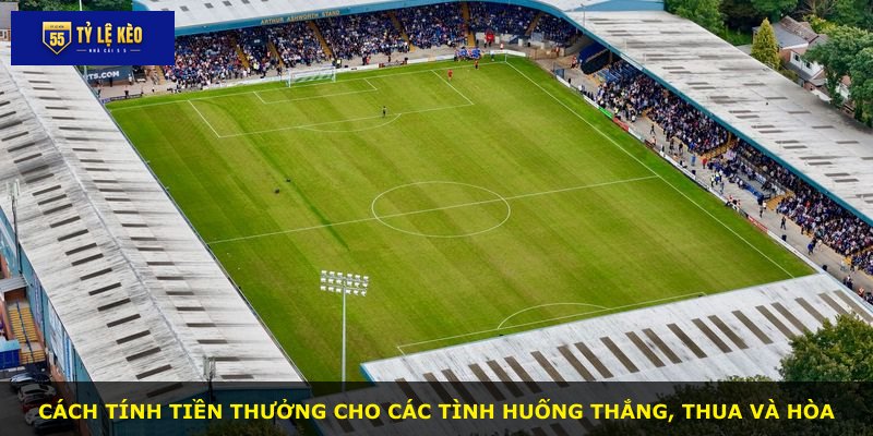 Cách tính tiền thưởng cho các tình huống thắng, thua và hòa