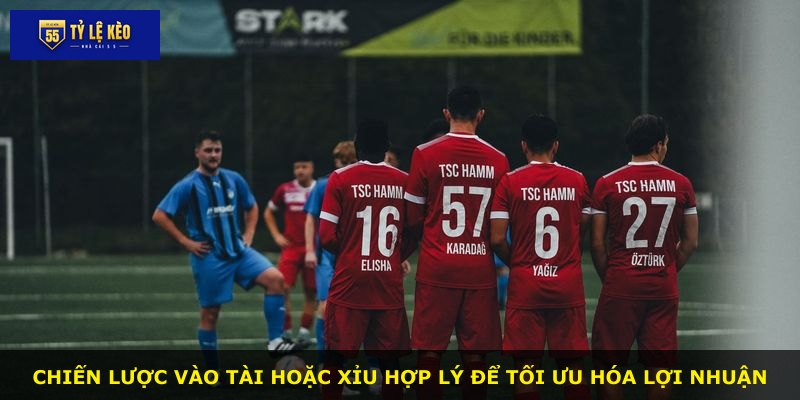 Chiến lược vào tài hoặc xỉu hợp lý để tối ưu hóa lợi nhuận