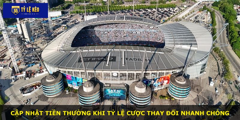 Cập nhật tiền thưởng khi tỷ lệ cược thay đổi nhanh chóng