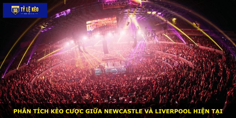 Phân tích kèo cược giữa Newcastle và Liverpool hiện tại