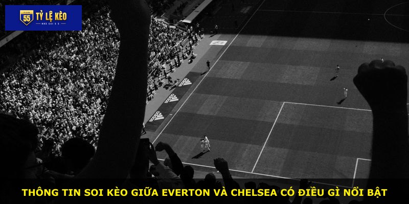 Thông tin soi kèo giữa Everton và Chelsea có điều gì nổi bật