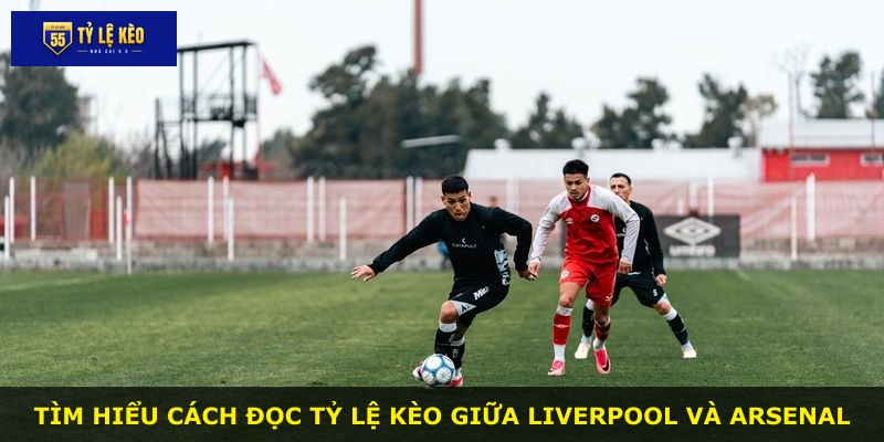 Tìm hiểu cách đọc tỷ lệ kèo giữa Liverpool và Arsenal