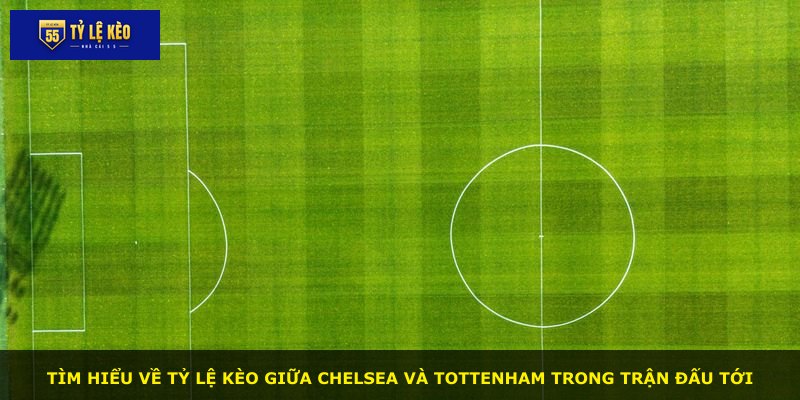 Tìm hiểu về tỷ lệ kèo giữa Chelsea và Tottenham trong trận đấu tới