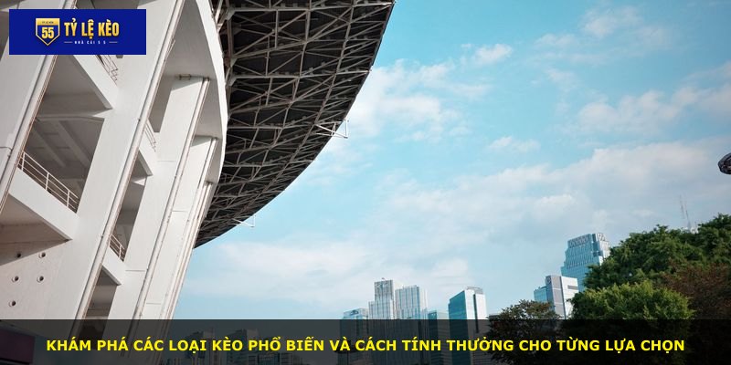 Khám phá các loại kèo phổ biến và cách tính thưởng cho từng lựa chọn