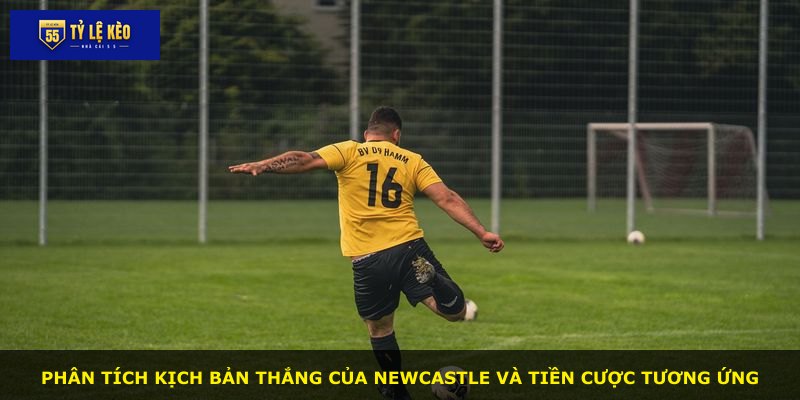 Phân tích kịch bản thắng của Newcastle và tiền cược tương ứng